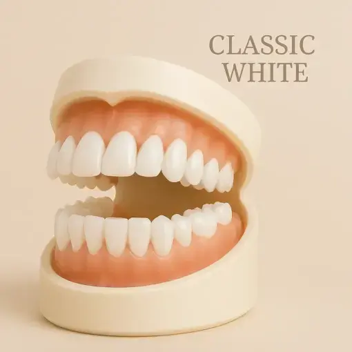 PremiumDenture - Image 2