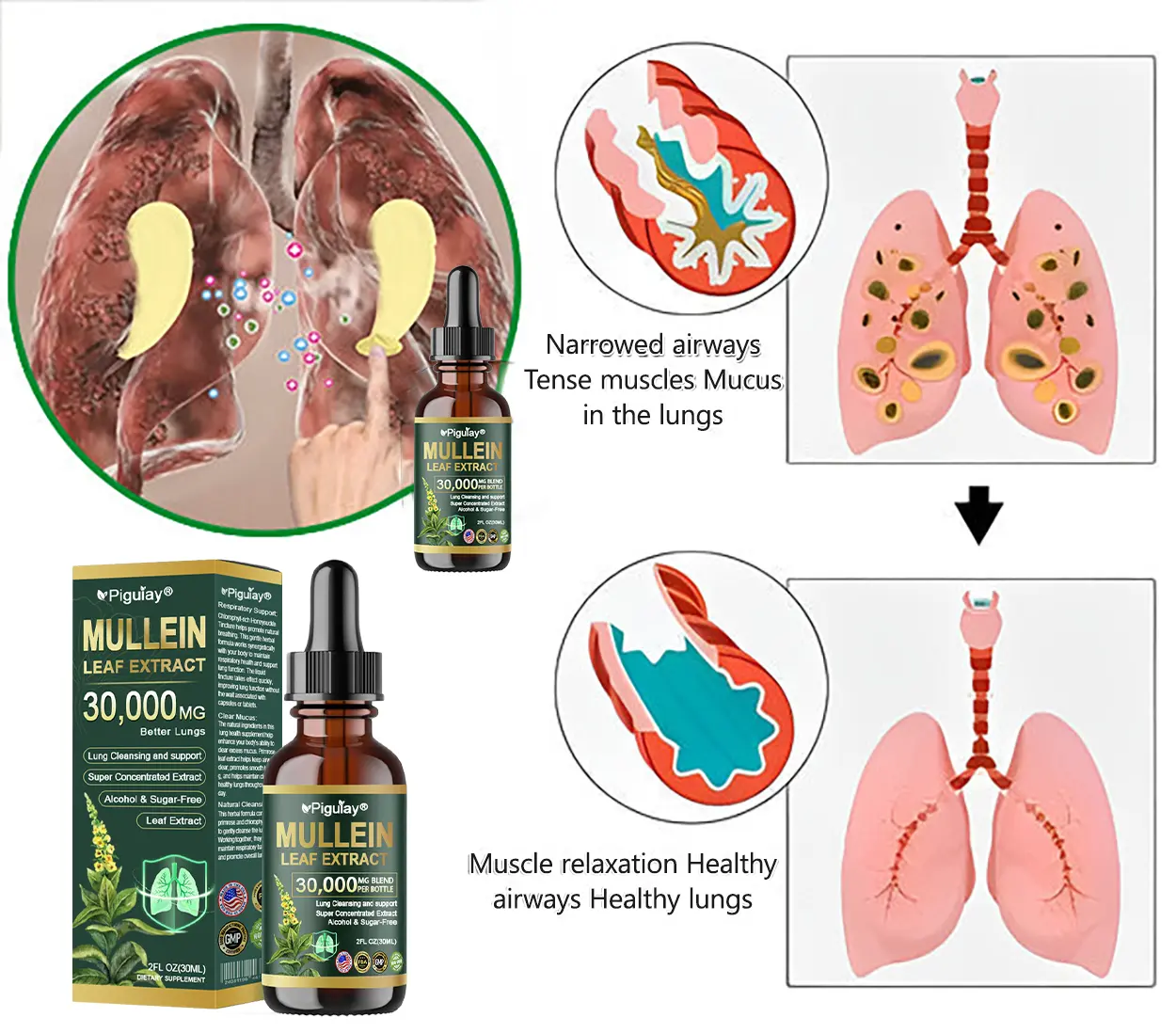Organic Lung Cleansing Mullein Leaf Extract Drops - Image 8