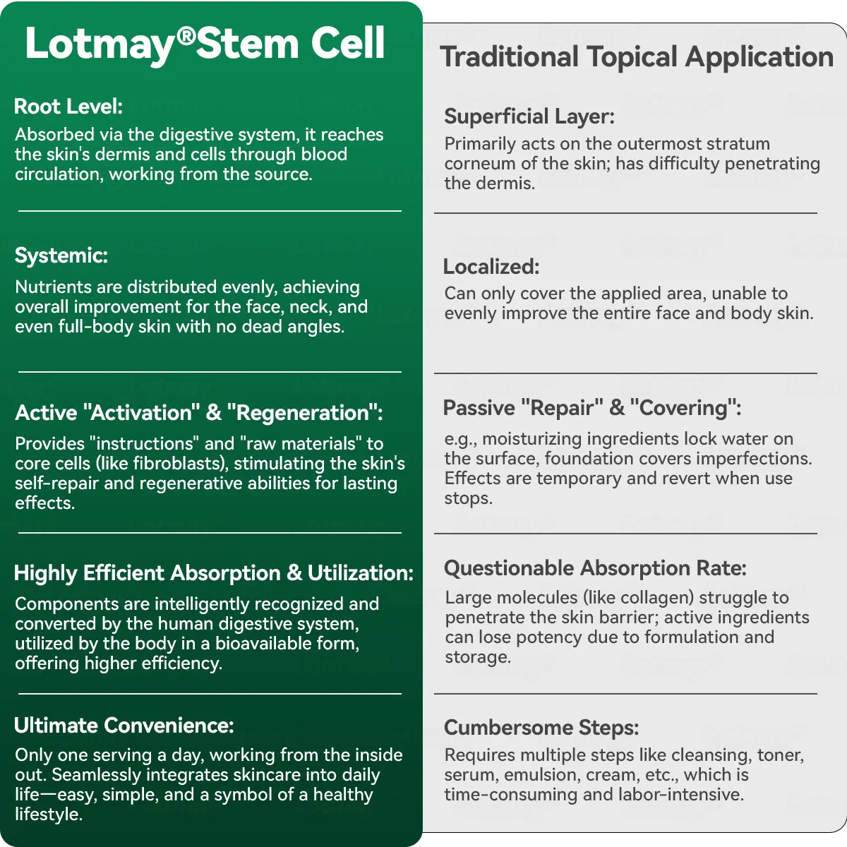 Stem Cell Collagen Peptide Oral Drops - Image 9