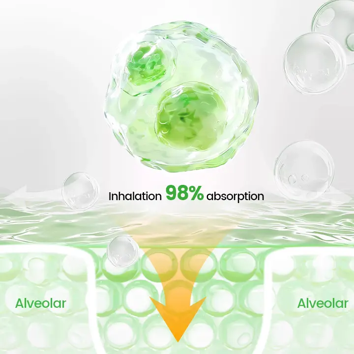 Pulmovia Quercetin Lung Detox Inhaler - Image 6