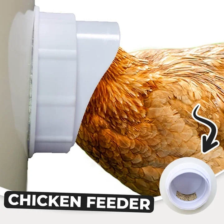 DIY Chicken Feeder - Image 9