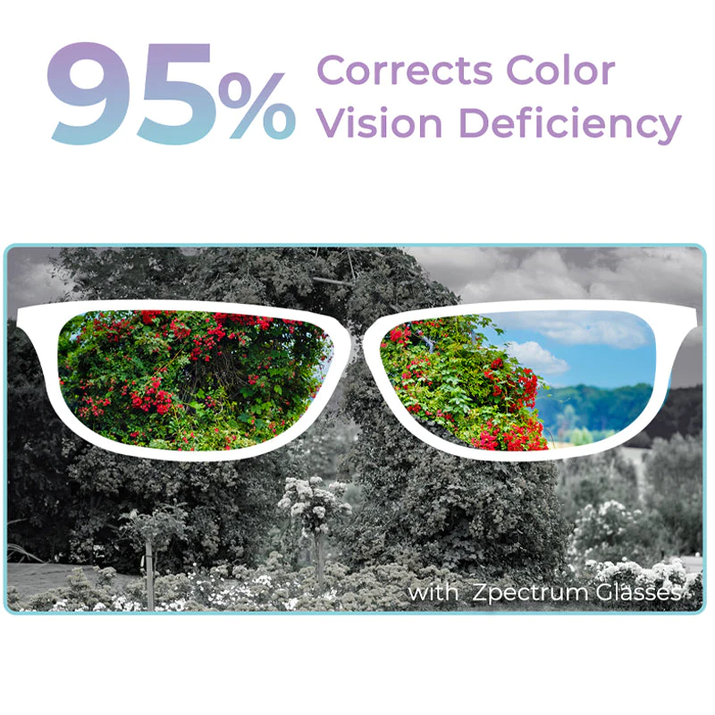 Zpectrum Colorblind Glasses - Image 3
