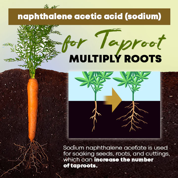 Rapid Rooting Powder - Image 3