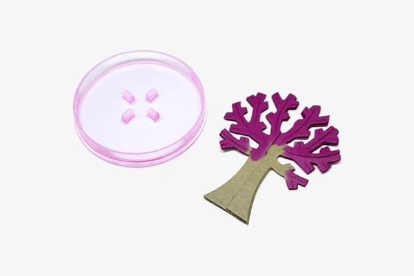 Magic Growing Tree - Image 4