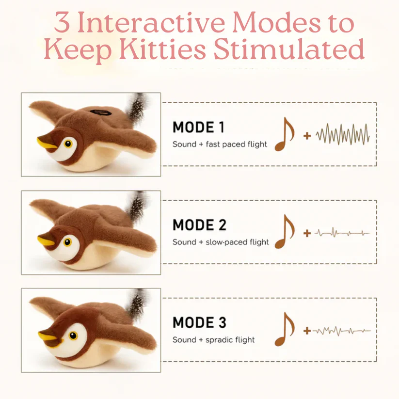 TAILEDEN Interactive Toy - Image 2