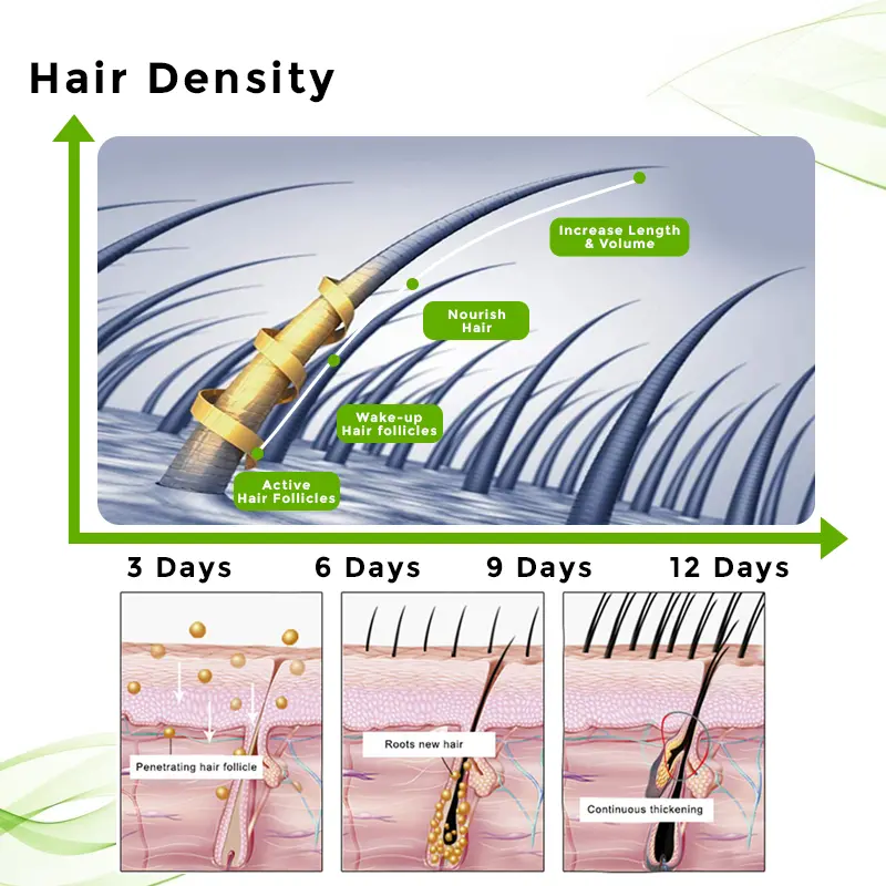 𝐎𝐟𝐟𝐢𝐜𝐢𝐚𝐥 𝐒𝐭𝐨𝐫𝐞 | Hair Regrowth System For Hair Growth & Eyebrow Nourishment - Image 5