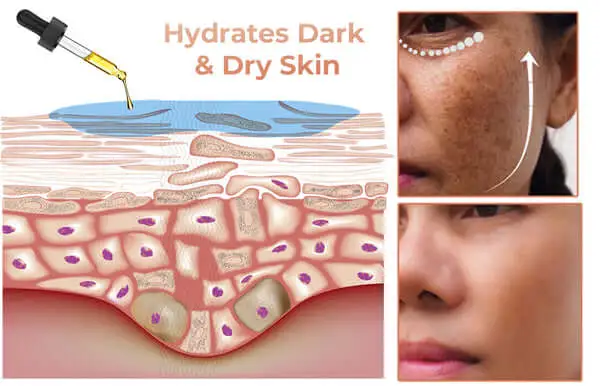Melanin Correcting Facial Serum - Image 11