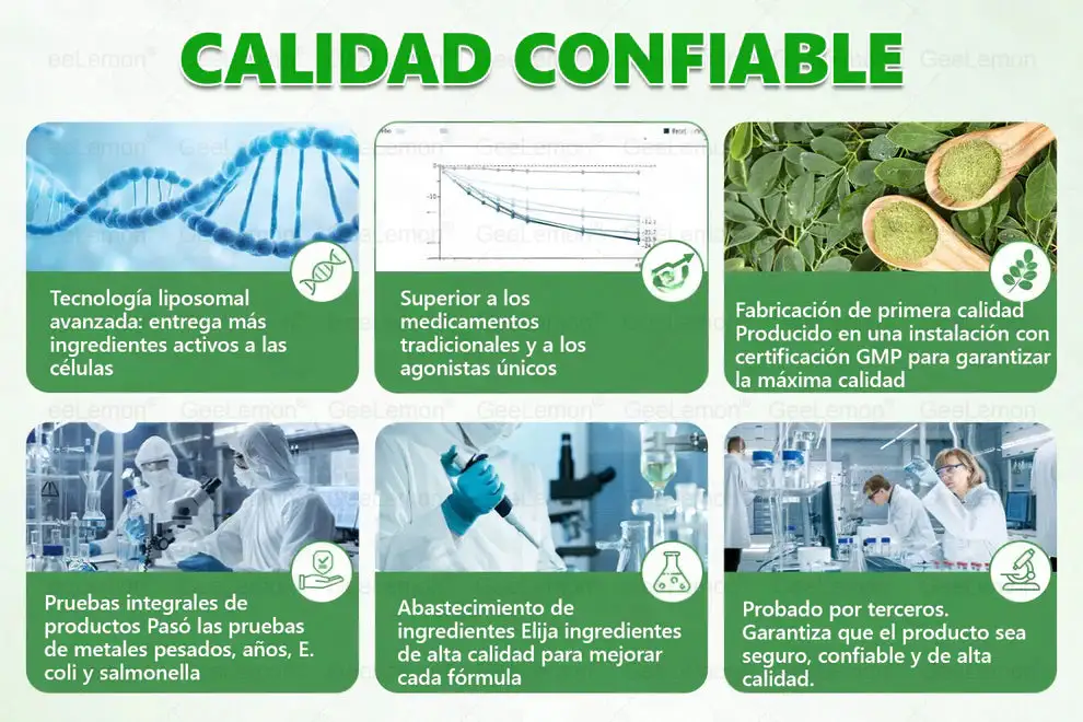 Parche de Microagujas Nano Avanzado 10 en 1 con Moringa, Berberina y NAD+ - Image 11