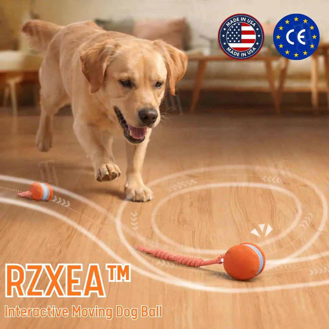 Interactive Moving Dog Ball (๐๐% ๐๐ฝ๐ฝ ๐๐ก๐๐ฆ ๐๐ก ๐ญ๐ฌ ๐ ๐๐ก๐จ๐ง๐๐ฆ)