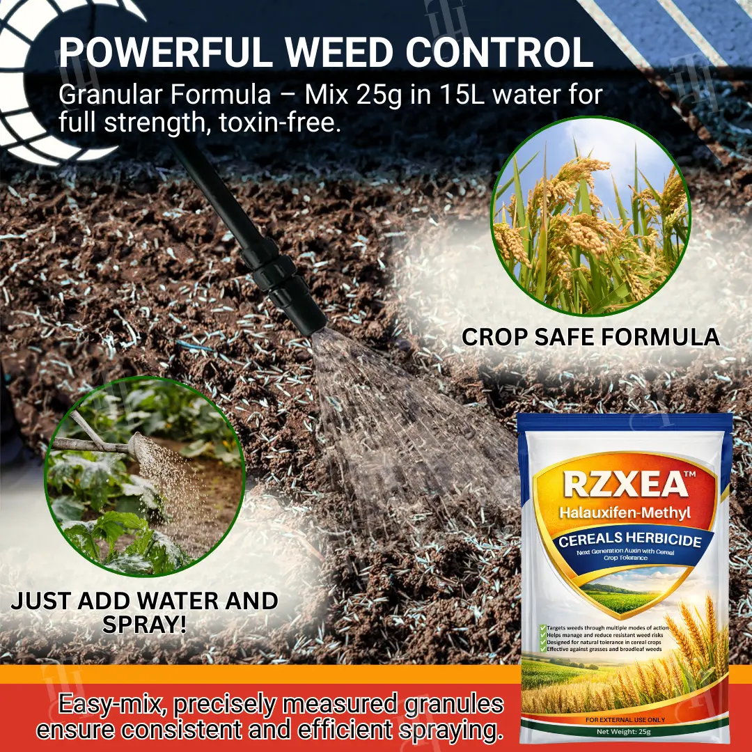Halauxifen-methyl Cereals Herbicide - Image 3