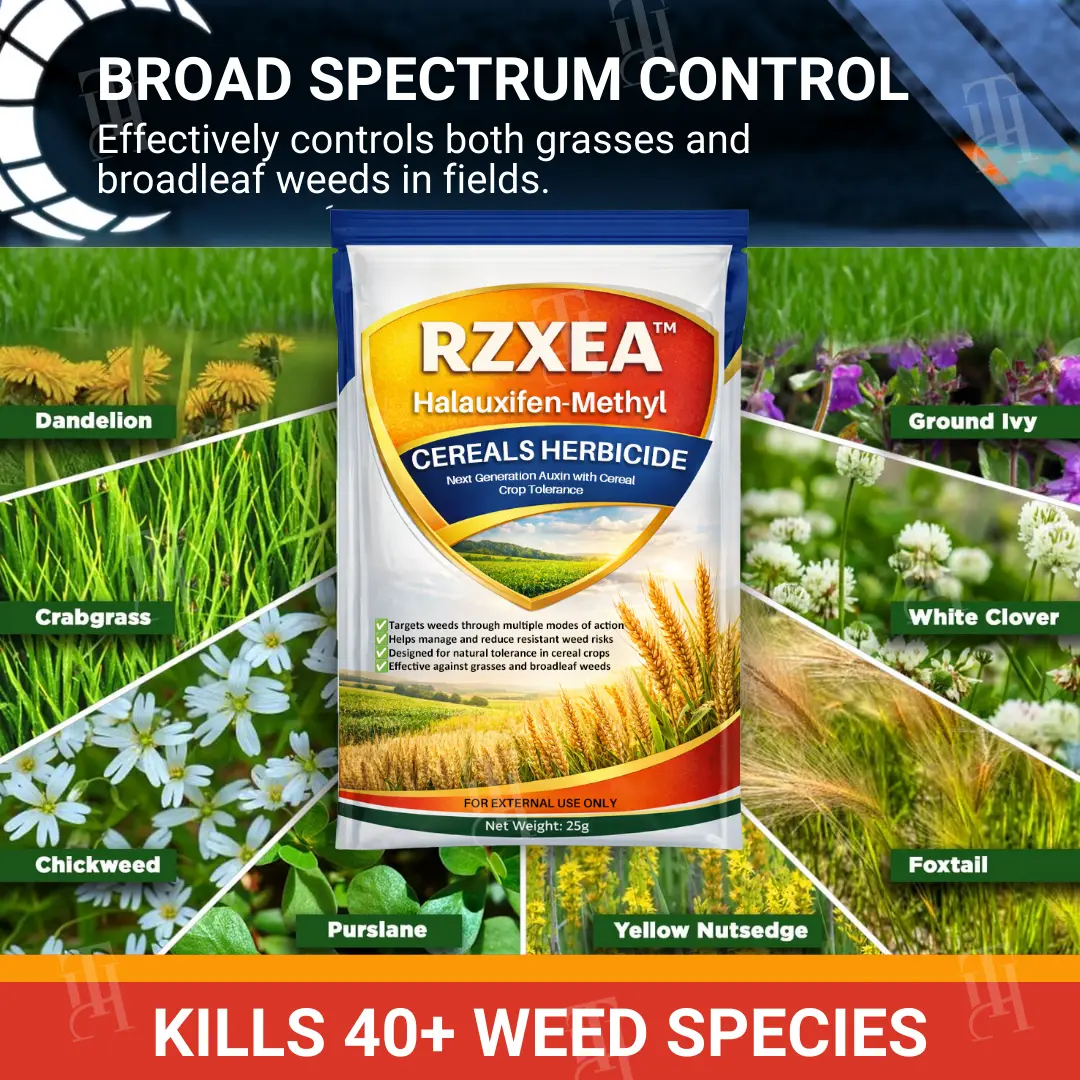 Halauxifen-methyl Cereals Herbicide - Image 4
