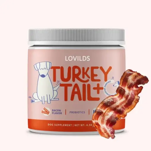 Turkey Tail Mushroom + Probiotic Formula