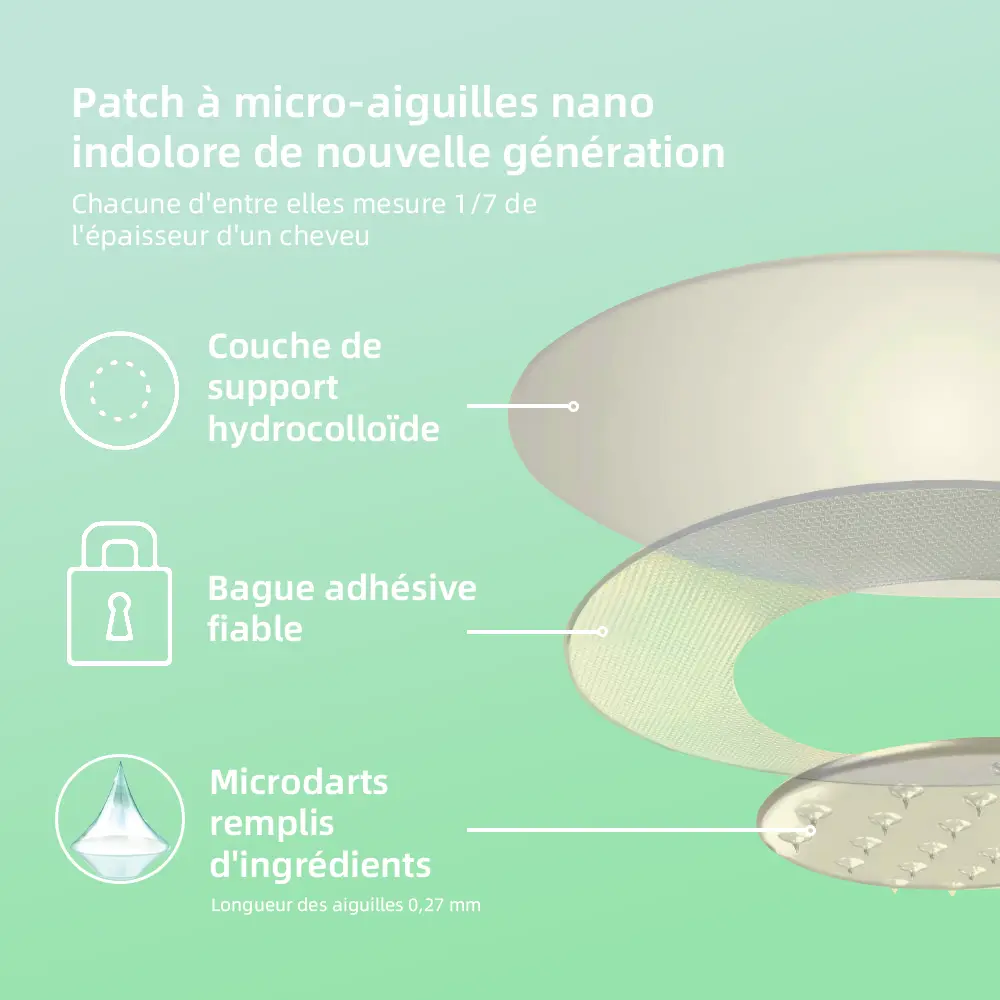 𝗡𝗮𝗻𝗼-𝗣𝗮𝘁𝗰𝗵 à 𝗺𝗶𝗰𝗿𝗼-𝗮𝗶𝗴𝘂𝗶𝗹𝗹𝗲𝘀 - Image 9