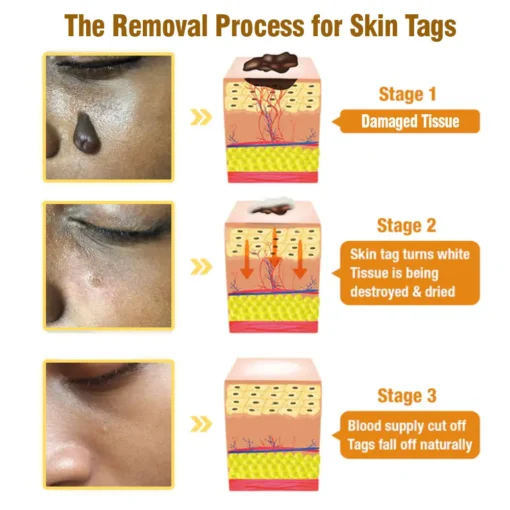 Bee Venom Comprehensive Cream - Image 4