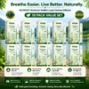 Botanical Mullein Lung Cleanse Diffuser